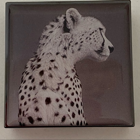 Chanteceille Metallic Eye Shadow Limited Edition 6 eye shadows brush set - Picture 7 of 16